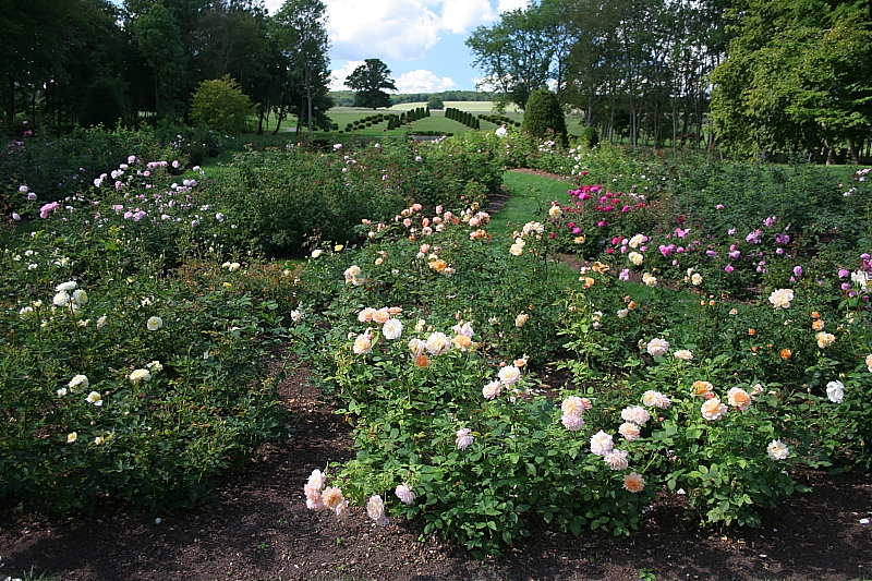 Killikus® Fotographie Killikus® Fotographie